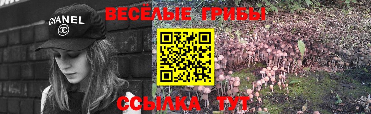 Галлюциногенные грибы прущие грибы  Вход с VPN  Черногорск  купить наркоту  Псилоцибиновые грибы MAGIC MUSHROOMS 